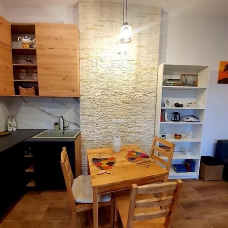 Hidden Apartment Borzecin Duzy