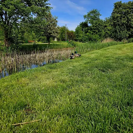 Hidden * Borzecin Duzy